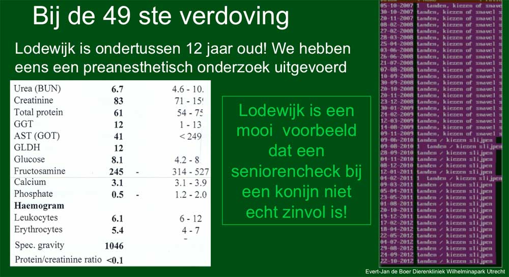 Konijn Lodewijk is vaak onder verdoing geweest de nieren zijn altijd goed gebleven